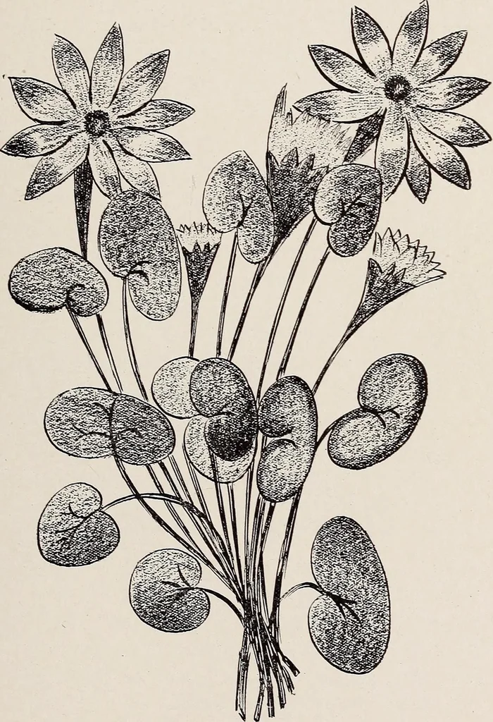 An illustration from Decimon Hûydas : a romance of Mars : a story of actual experiences in Ento (Mars) many centuries ago, 1906, leaf 159