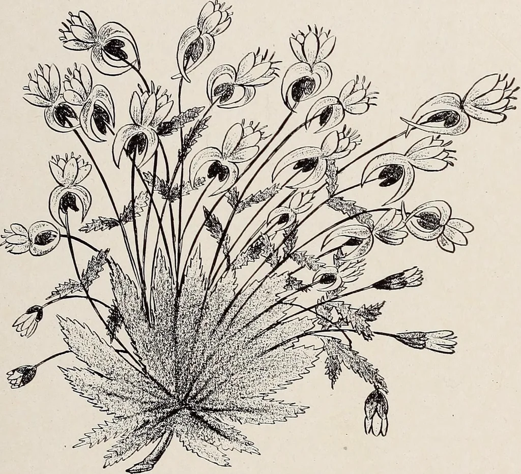 An illustration from Decimon Hûydas : a romance of Mars : a story of actual experiences in Ento (Mars) many centuries ago, 1906, leaf 61