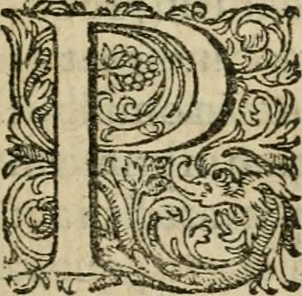 An illustration from De circulo physico, quadrato, hoc est, auro : ejusque virtvte medicinali, sub dvro cortice instar nvclei latente, an & qualis inde petenda sit : tractatus haud inutilis, 1616, leaf 14