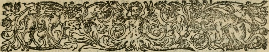 An illustration from De circulo physico, quadrato, hoc est, auro : ejusque virtvte medicinali, sub dvro cortice instar nvclei latente, an & qualis inde petenda sit : tractatus haud inutilis, 1616, leaf 14