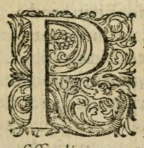 An illustration from De circulo physico, quadrato, hoc est, auro : ejusque virtvte medicinali, sub dvro cortice instar nvclei latente, an & qualis inde petenda sit : tractatus haud inutilis, 1616, leaf 15