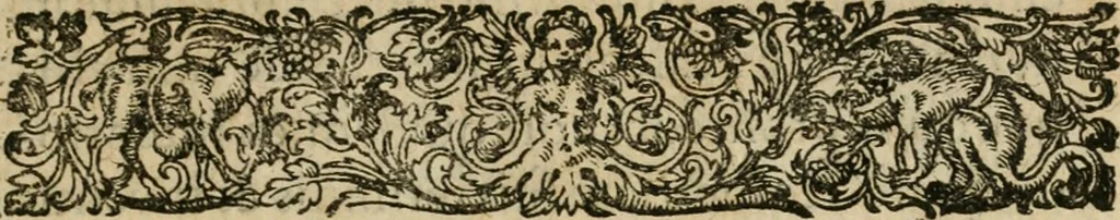 An illustration from De circulo physico, quadrato, hoc est, auro : ejusque virtvte medicinali, sub dvro cortice instar nvclei latente, an & qualis inde petenda sit : tractatus haud inutilis, 1616, leaf 6