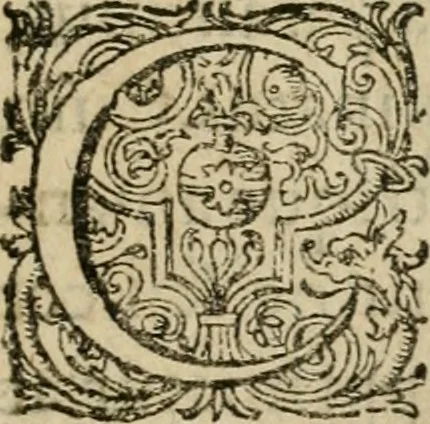 An illustration from De circulo physico, quadrato, hoc est, auro : ejusque virtvte medicinali, sub dvro cortice instar nvclei latente, an & qualis inde petenda sit : tractatus haud inutilis, 1616, leaf 6