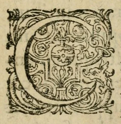 An illustration from De circulo physico, quadrato, hoc est, auro : ejusque virtvte medicinali, sub dvro cortice instar nvclei latente, an & qualis inde petenda sit : tractatus haud inutilis, 1616, leaf 7