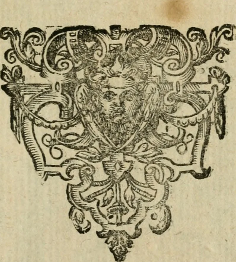 An illustration from De circulo physico, quadrato, hoc est, auro : ejusque virtvte medicinali, sub dvro cortice instar nvclei latente, an & qualis inde petenda sit : tractatus haud inutilis, 1616, leaf 82