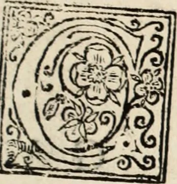 An illustration from Decisiones supremi eminentissimique Senatus Portugalliae ex gravissimorum patrum responsis collectae, 1621, leaf 10