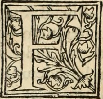 An illustration from Decisiones supremi eminentissimique Senatus Portugalliae ex gravissimorum patrum responsis collectae, 1621, leaf 117
