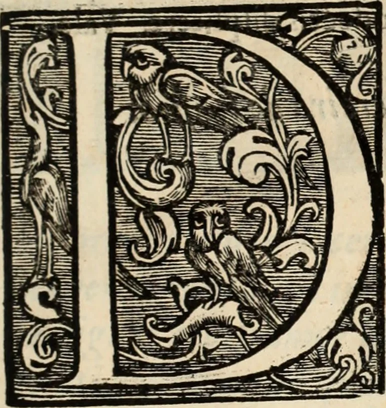 An illustration from Decisiones supremi eminentissimique Senatus Portugalliae ex gravissimorum patrum responsis collectae, 1621, leaf 12