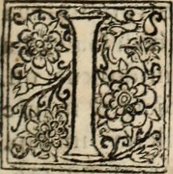 An illustration from Decisiones supremi eminentissimique Senatus Portugalliae ex gravissimorum patrum responsis collectae, 1621, leaf 136