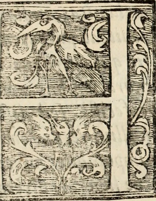 An illustration from Decisiones supremi eminentissimique Senatus Portugalliae ex gravissimorum patrum responsis collectae, 1621, leaf 14