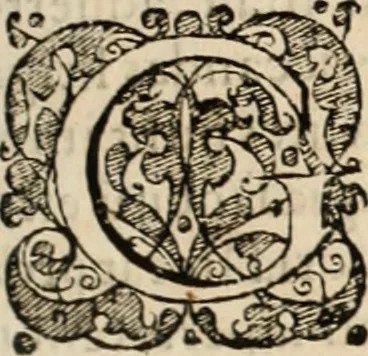 An illustration from Decisiones supremi eminentissimique Senatus Portugalliae ex gravissimorum patrum responsis collectae, 1621, leaf 140