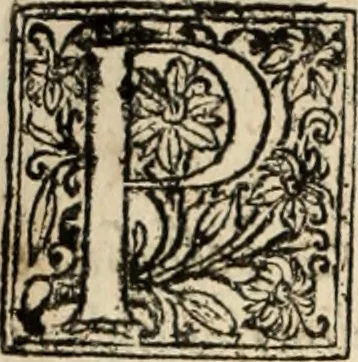 An illustration from Decisiones supremi eminentissimique Senatus Portugalliae ex gravissimorum patrum responsis collectae, 1621, leaf 141