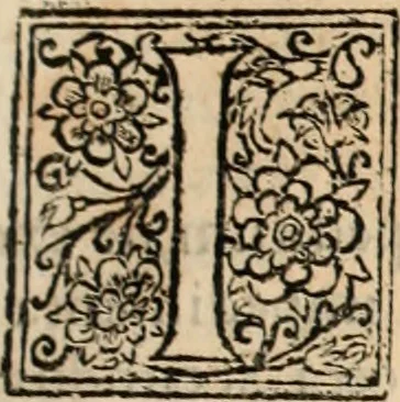 An illustration from Decisiones supremi eminentissimique Senatus Portugalliae ex gravissimorum patrum responsis collectae, 1621, leaf 146