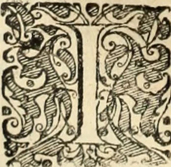 An illustration from Decisiones supremi eminentissimique Senatus Portugalliae ex gravissimorum patrum responsis collectae, 1621, leaf 151