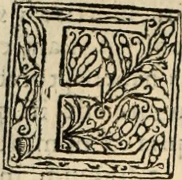 An illustration from Decisiones supremi eminentissimique Senatus Portugalliae ex gravissimorum patrum responsis collectae, 1621, leaf 155