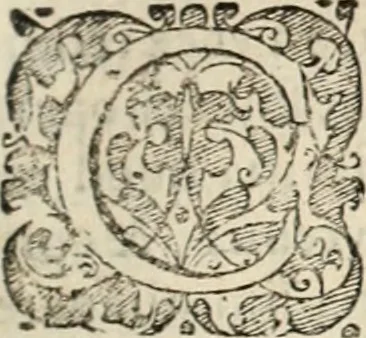 An illustration from Decisiones supremi eminentissimique Senatus Portugalliae ex gravissimorum patrum responsis collectae, 1621, leaf 162