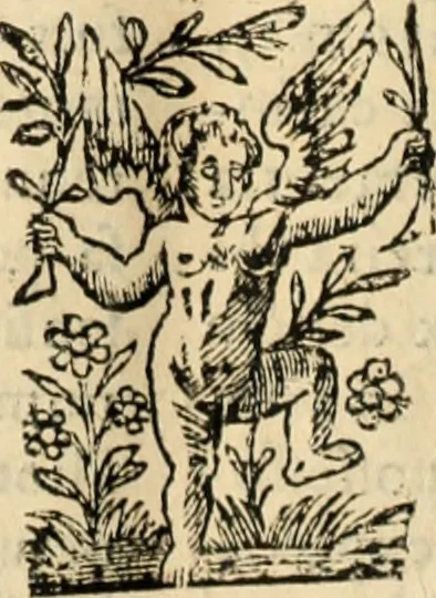 An illustration from Decisiones supremi eminentissimique Senatus Portugalliae ex gravissimorum patrum responsis collectae, 1621, leaf 167