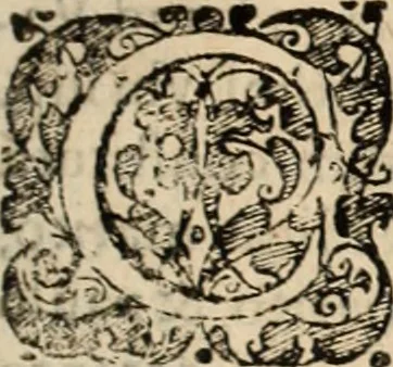 An illustration from Decisiones supremi eminentissimique Senatus Portugalliae ex gravissimorum patrum responsis collectae, 1621, leaf 174