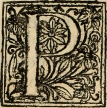 An illustration from Decisiones supremi eminentissimique Senatus Portugalliae ex gravissimorum patrum responsis collectae, 1621, leaf 177