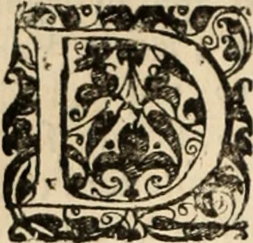 An illustration from Decisiones supremi eminentissimique Senatus Portugalliae ex gravissimorum patrum responsis collectae, 1621, leaf 207