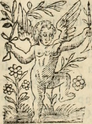 An illustration from Decisiones supremi eminentissimique Senatus Portugalliae ex gravissimorum patrum responsis collectae, 1621, leaf 210