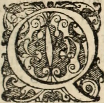 An illustration from Decisiones supremi eminentissimique Senatus Portugalliae ex gravissimorum patrum responsis collectae, 1621, leaf 220