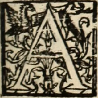 An illustration from Decisiones supremi eminentissimique Senatus Portugalliae ex gravissimorum patrum responsis collectae, 1621, leaf 220