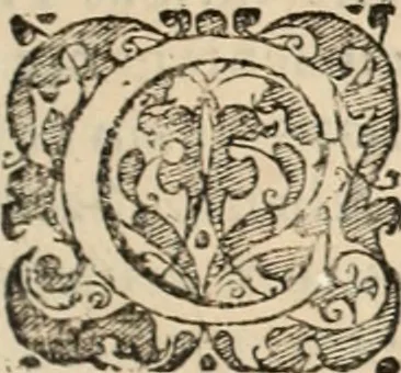 An illustration from Decisiones supremi eminentissimique Senatus Portugalliae ex gravissimorum patrum responsis collectae, 1621, leaf 238