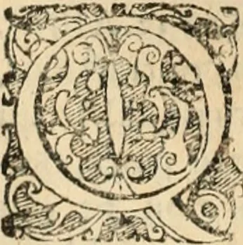 An illustration from Decisiones supremi eminentissimique Senatus Portugalliae ex gravissimorum patrum responsis collectae, 1621, leaf 243