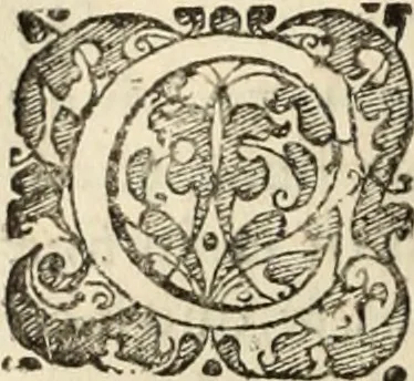 An illustration from Decisiones supremi eminentissimique Senatus Portugalliae ex gravissimorum patrum responsis collectae, 1621, leaf 255