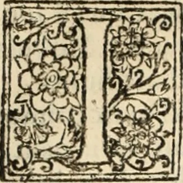 An illustration from Decisiones supremi eminentissimique Senatus Portugalliae ex gravissimorum patrum responsis collectae, 1621, leaf 257