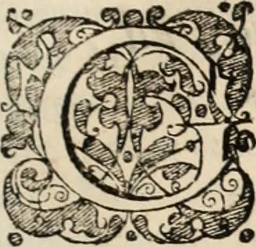 An illustration from Decisiones supremi eminentissimique Senatus Portugalliae ex gravissimorum patrum responsis collectae, 1621, leaf 266