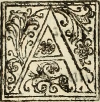 An illustration from Decisiones supremi eminentissimique Senatus Portugalliae ex gravissimorum patrum responsis collectae, 1621, leaf 267