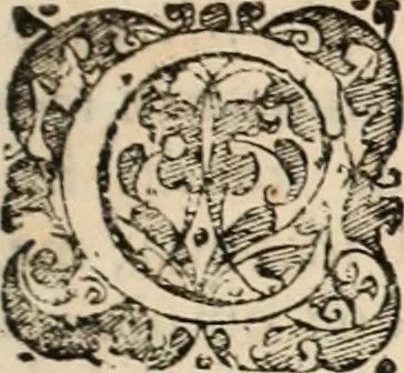 An illustration from Decisiones supremi eminentissimique Senatus Portugalliae ex gravissimorum patrum responsis collectae, 1621, leaf 274