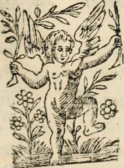 An illustration from Decisiones supremi eminentissimique Senatus Portugalliae ex gravissimorum patrum responsis collectae, 1621, leaf 284