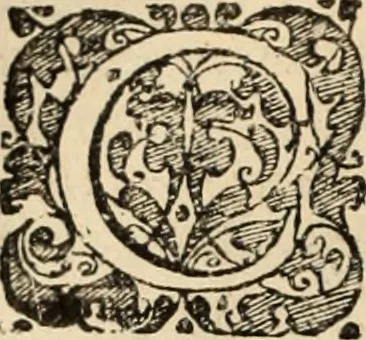 An illustration from Decisiones supremi eminentissimique Senatus Portugalliae ex gravissimorum patrum responsis collectae, 1621, leaf 295
