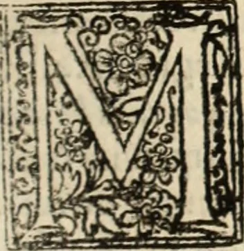 An illustration from Decisiones supremi eminentissimique Senatus Portugalliae ex gravissimorum patrum responsis collectae, 1621, leaf 308