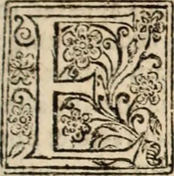 An illustration from Decisiones supremi eminentissimique Senatus Portugalliae ex gravissimorum patrum responsis collectae, 1621, leaf 316
