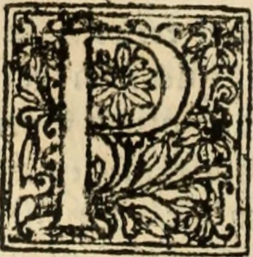 An illustration from Decisiones supremi eminentissimique Senatus Portugalliae ex gravissimorum patrum responsis collectae, 1621, leaf 319
