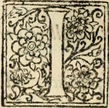 An illustration from Decisiones supremi eminentissimique Senatus Portugalliae ex gravissimorum patrum responsis collectae, 1621, leaf 327