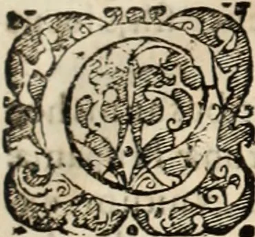 An illustration from Decisiones supremi eminentissimique Senatus Portugalliae ex gravissimorum patrum responsis collectae, 1621, leaf 34