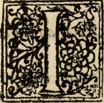 An illustration from Decisiones supremi eminentissimique Senatus Portugalliae ex gravissimorum patrum responsis collectae, 1621, leaf 341