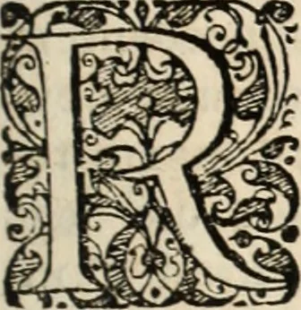 An illustration from Decisiones supremi eminentissimique Senatus Portugalliae ex gravissimorum patrum responsis collectae, 1621, leaf 348