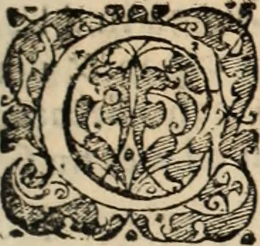 An illustration from Decisiones supremi eminentissimique Senatus Portugalliae ex gravissimorum patrum responsis collectae, 1621, leaf 352