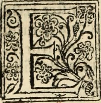 An illustration from Decisiones supremi eminentissimique Senatus Portugalliae ex gravissimorum patrum responsis collectae, 1621, leaf 357