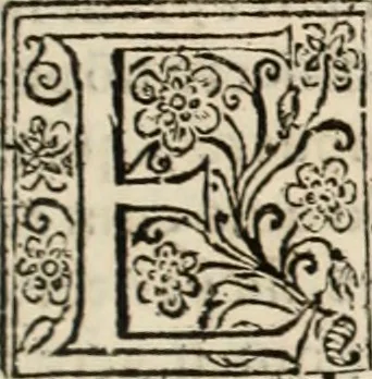 An illustration from Decisiones supremi eminentissimique Senatus Portugalliae ex gravissimorum patrum responsis collectae, 1621, leaf 364