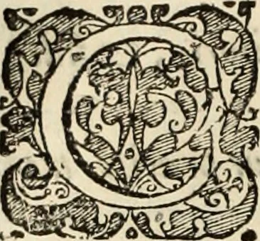 An illustration from Decisiones supremi eminentissimique Senatus Portugalliae ex gravissimorum patrum responsis collectae, 1621, leaf 365