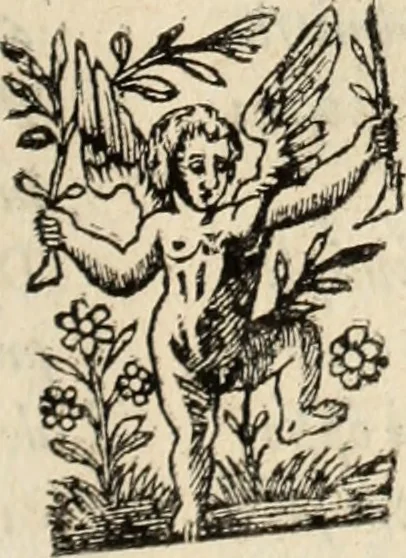 An illustration from Decisiones supremi eminentissimique Senatus Portugalliae ex gravissimorum patrum responsis collectae, 1621, leaf 366