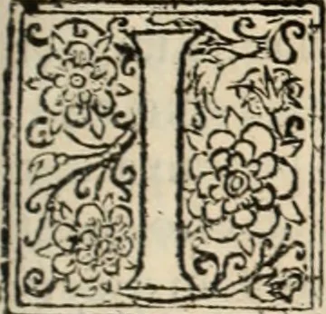 An illustration from Decisiones supremi eminentissimique Senatus Portugalliae ex gravissimorum patrum responsis collectae, 1621, leaf 368