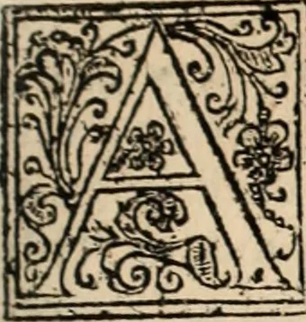 An illustration from Decisiones supremi eminentissimique Senatus Portugalliae ex gravissimorum patrum responsis collectae, 1621, leaf 372